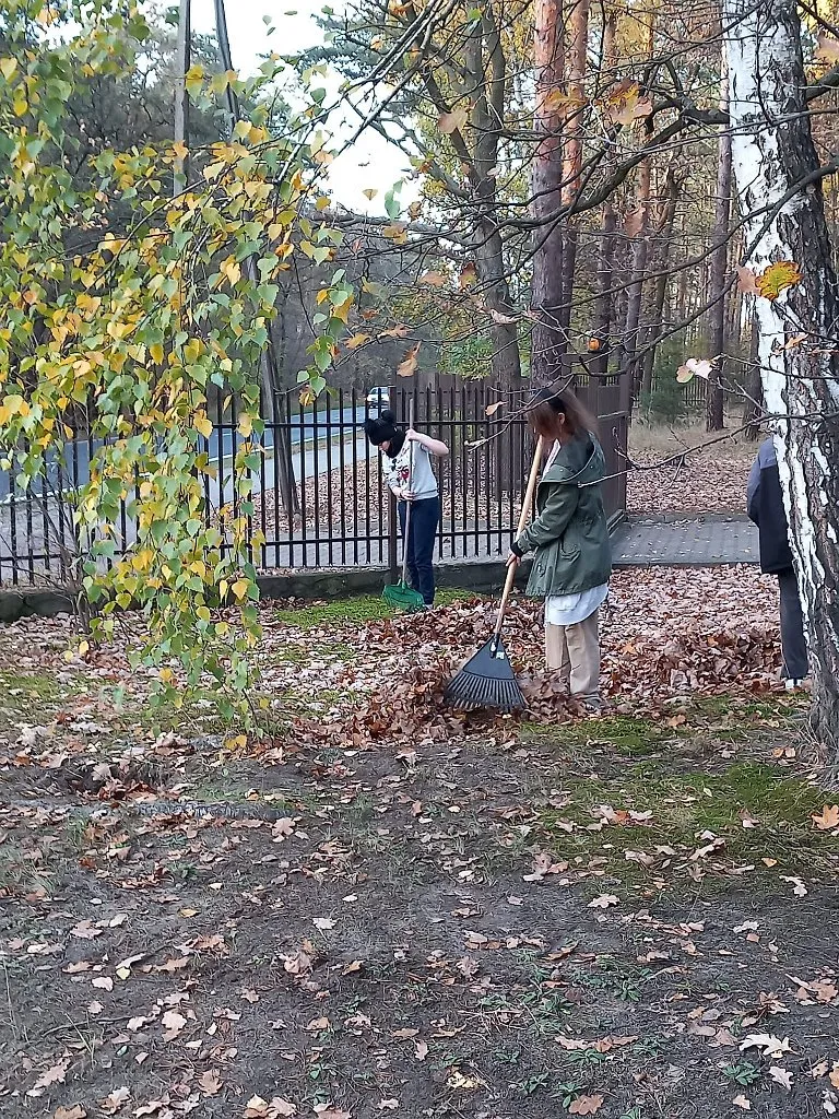 Jesienna ergoterapia